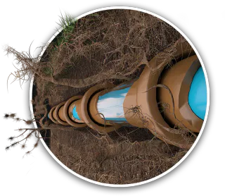 Photo of 1 Drain Guy LLC, from their website