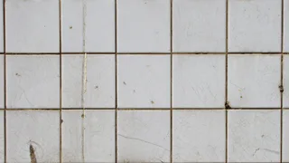 Photo of 1-Tom-Plumber, from Google