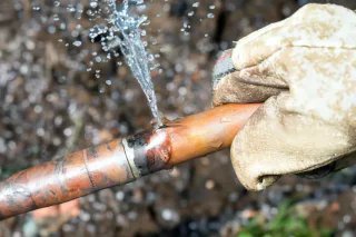 Photo of 1st Choice Plumbing | Plumbing and Heating of Westchester, from their website