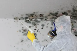 Photo of 24 Serv, from their website