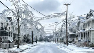 Photo of Advanced Disaster Recovery Inc, from their website