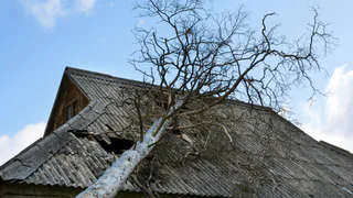 Photo of AllPro Restoration & Janitorial, from their website