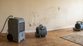Photo of ASAP Restoration, from their website