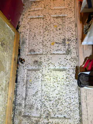 Photo of BlueLine Disaster Solutions, Inc., from their website