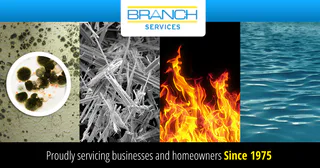 Photo of Branch Services, from their website