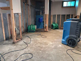 Photo of Clean Up Kings, from their website