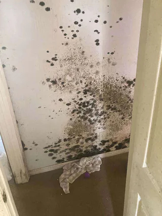 Photo of CleanBright Surface Restoration, from their website