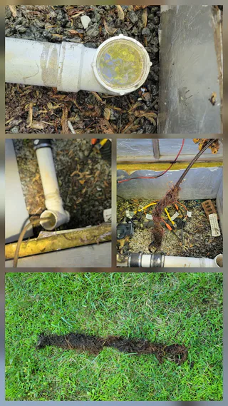 Photo of Doody Calls Drain Service LLC, from Google