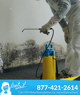 Photo of FDP Mold Remediation of Harrison, from their website