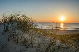 Photo of Fire Island Plumbing Co., from their website