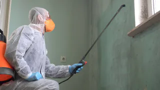 Photo of Global Mold Solutions LLC, from their website