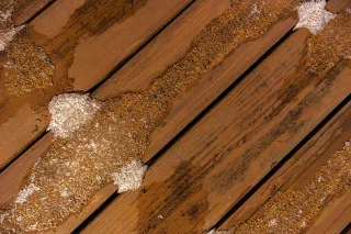 Photo of Global Mold Solutions LLC, from their website