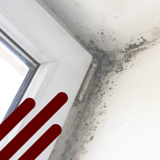 Photo of KMH Remediation & Cleaning Services - Watertown, from their website