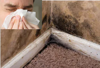 Photo of Life Air Care, from their website