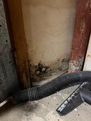 Photo of Long Island Mold Guy, from Google