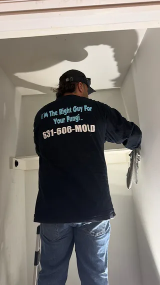 Photo of Long Island Mold Guy, from Google