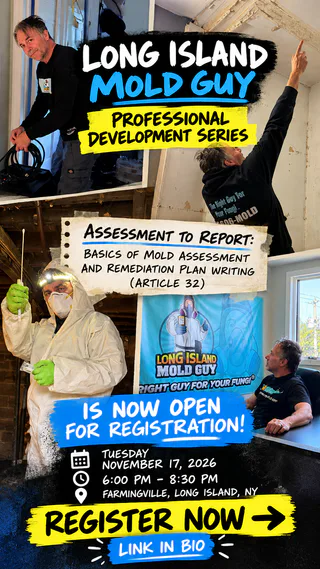 Photo of Long Island Mold Guy, from Google
