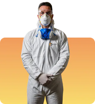 Photo of Long Island Mold Specialist, from their website