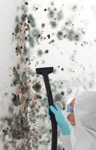 Photo of Magna Dry Cleaning and Restoration, from their website