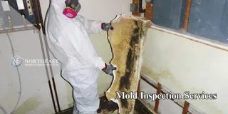 Photo of Northeast Property Restoration, from Google