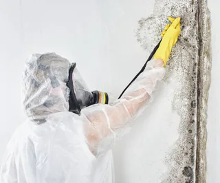 Photo of NY Flood Cleanup and Water Restoration, from their website