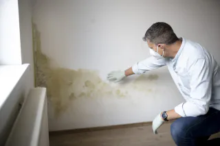 Photo of NYTDR NYC Contractors, from their website