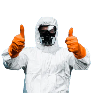 Photo of Prime Aire Mold Services, from their website