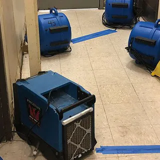 Photo of Procyon Restoration, from their website