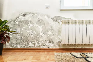 Photo of Professional Fire Restoration, from their website