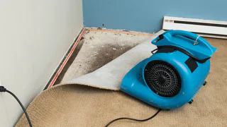 Photo of Redeeming Restoration, from their website