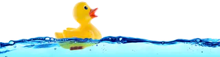 Photo of Rubber Duck Plumbing Inc., from their website