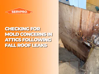Photo of SERVPRO of Eastern Niagara County, from Google