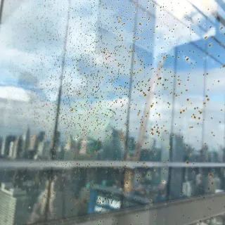 Photo of SparkViewCorp, from their website