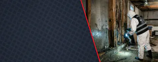 Photo of Spartan, from their website
